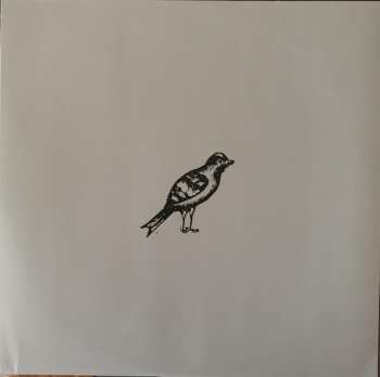 LP Buffalo Tom: Birdbrain LTD | CLR