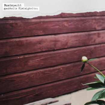 Album Buntspecht: Großteils Kleinigkeiten