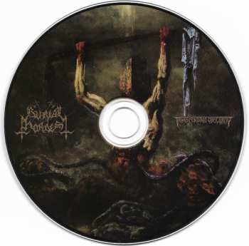 CD Burial Hordes: Ruins LTD | NUM