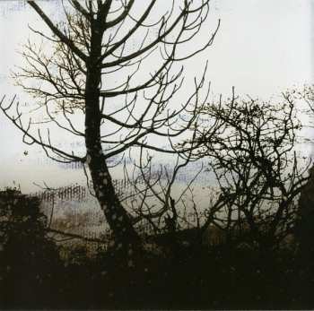 CD Buried At Sea: Ghost