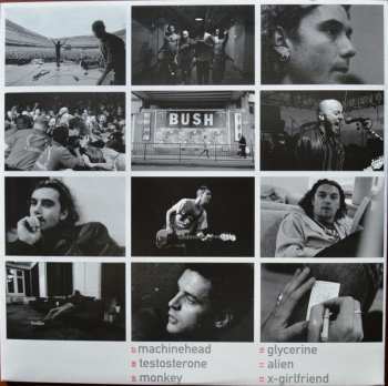 2LP Bush: Sixteen Stone