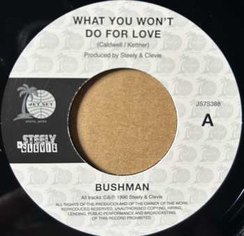 SP Steely & Clevie: 風のシルエット = What You Won't Do For Love / Instrumental 