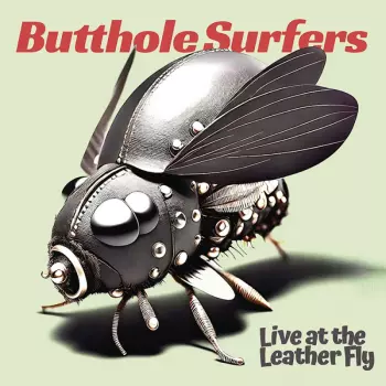 Butthole Surfers: Live at the Leather Fly