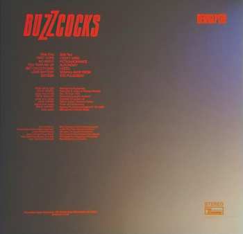 LP Buzzcocks: Another Music In A Different Kitchen