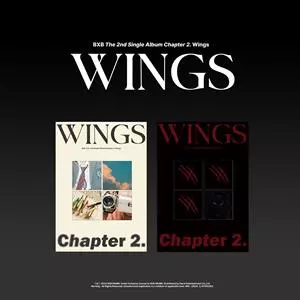 Chapter 2. Wings