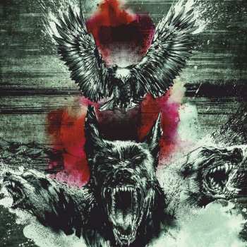 CD By A Storm: Beware Of The Underdogs