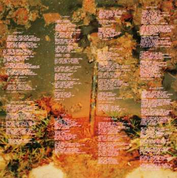 2LP Red Hot Chili Peppers: By The Way