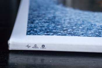 2LP Etienne Daho: L'homme Qui Marche 