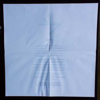 2LP Etienne Daho: L'homme Qui Marche 