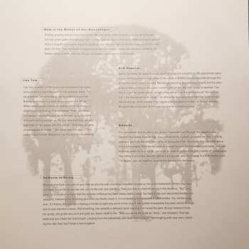 2LP The Fucking Champs: III