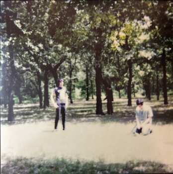 2LP The Fucking Champs: III