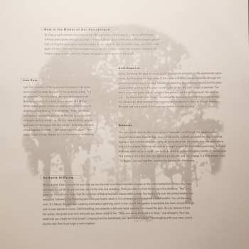 2LP The Fucking Champs: III