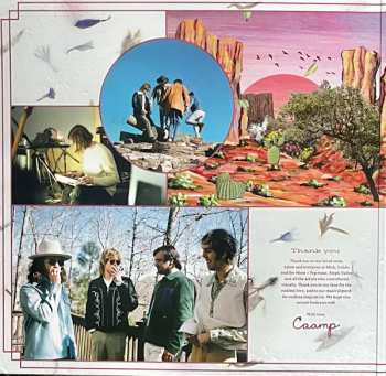 LP Caamp: Lavender Days CLR | LTD