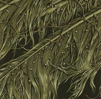 CD Cable: The Failed Convict