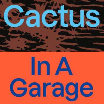 Album Cactus: In A Garage