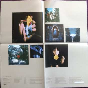 2LP Cage The Elephant: Unpeeled