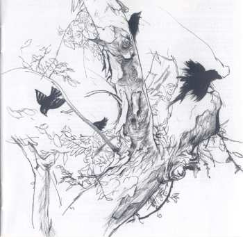 CD Calexico: Garden Ruin DIGI