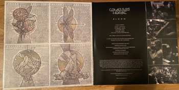 LP Caligula's Horse: Bloom