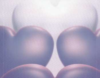 CD Calimeros: Weil Dich Mein Herz Vermisst