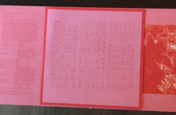 LP Cape Sleep: Video Days