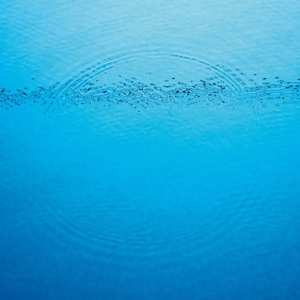 CD Caribou: Suddenly DIGI