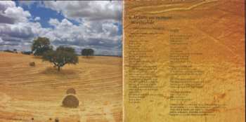 CD Carmen Souza: Protegid