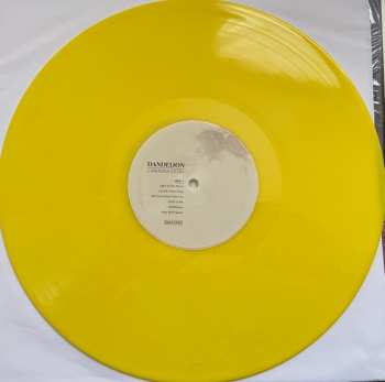 LP Carolina Story: Dandelion CLR | LTD