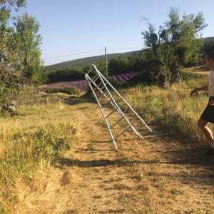 LP caroline: Dark Blue