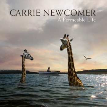 CD Carrie Newcomer: A Permeable Life
