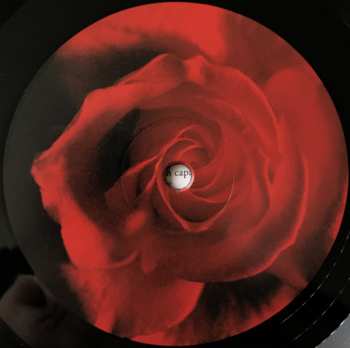 LP The Divine Comedy: Casanova