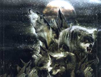 CD Catamenia: Location:COLD