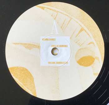 LP Catt: A Different Life