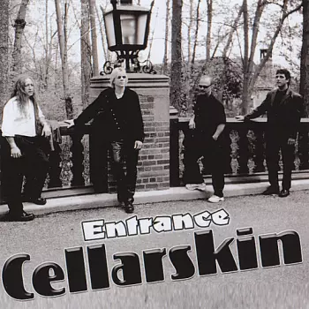Cellarskin: Entrance