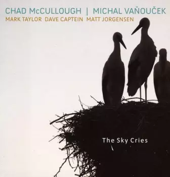 The Sky Cries
