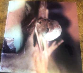 2CD/Caja Ches Smith: Path Of Seven Colors