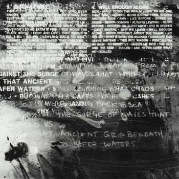 CD Chevelle: Vena Sera