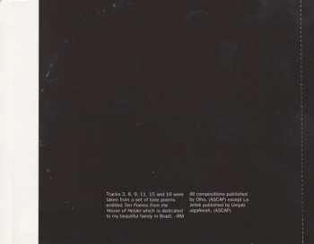 CD Chicago Underground Trio: Possible Cube
