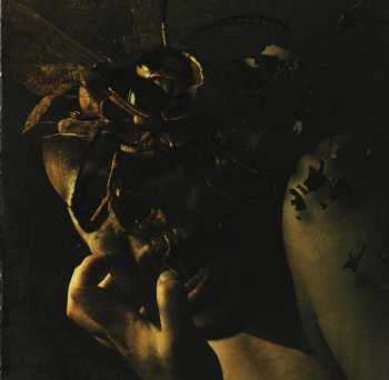 CD Chimaira: Resurrection