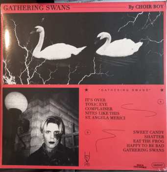 LP Choir Boy: Gathering Swans CLR | LTD