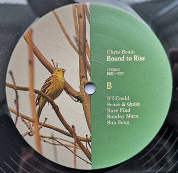 LP Chris Brain: Bound To Rise LTD