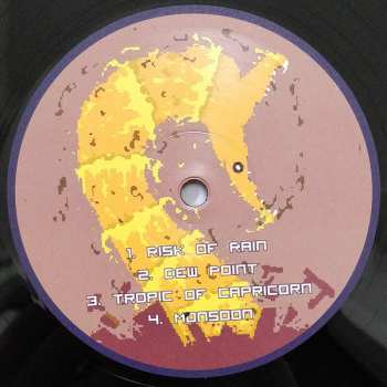 2LP Chris Christodoulou: Risk Of Rain