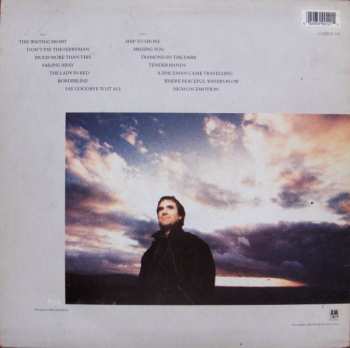 LP Chris de Burgh: Spark To A Flame (The Very Best Of Chris de Burgh)