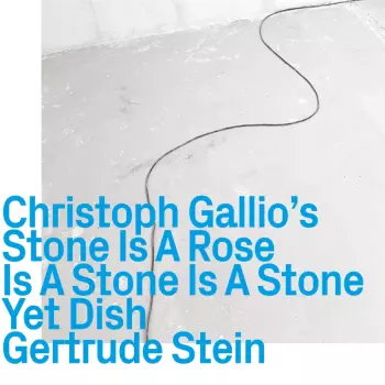 Christoph Gallio's Stone Is A Rose Is A Stone Is A Stone: Yet Dish