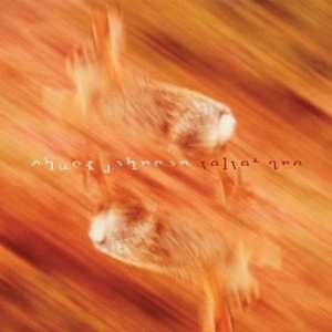 Album Chuck Johnson: Velvet Arc