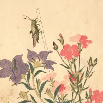 Chypho: Entomongaku II