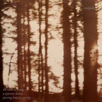 Album Cindytalk: Wind Is Strong ...