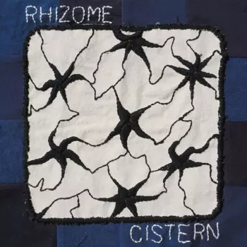 Cistern: Rhizome