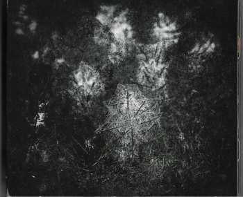 CD Clan Of Xymox: Spider On The Wall