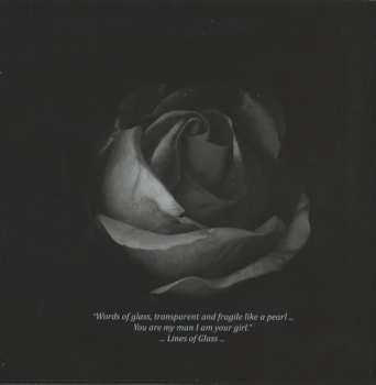 CD Clara Haberkamp Trio: Orange Blossom