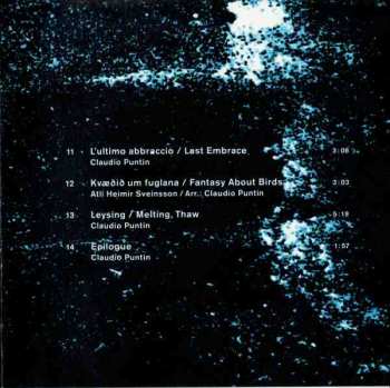 CD Claudio Puntin: Ylir